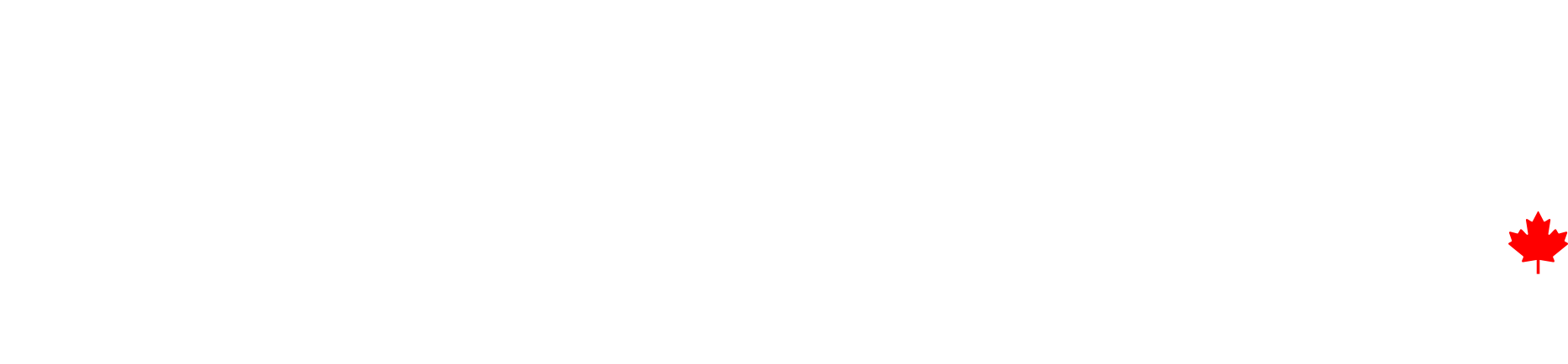 Drive Buy logo